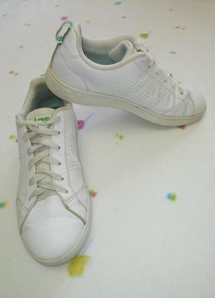 Кросівки adidas neo (оригінал, f99251)