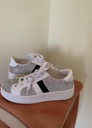 Кросівки steve madden