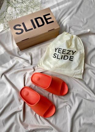 Шлепанцы adidas yeezy slide9 фото