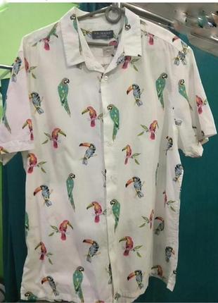 Primark рубашка хлопковая с папугаями