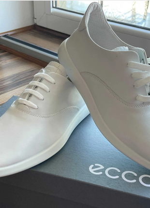 Кеди ecco minimalist w ( два кольори )