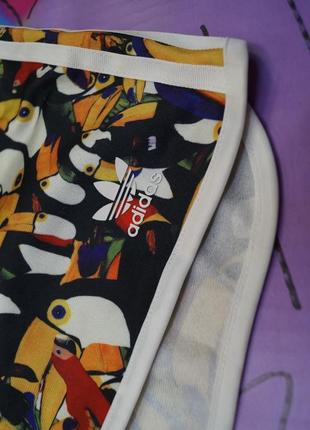 Короткі шорти принт пташки,тукани,папуги3 фото