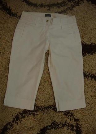 Шорти, бриджі котон mexx