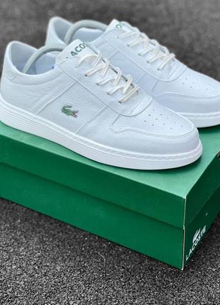 Кожаные мужские демисезонные спортивные кроссовки graduate lacoste