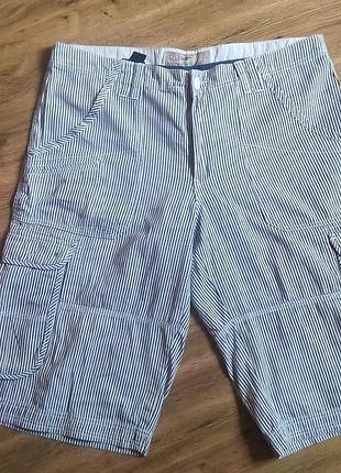 Смугасті бриджы