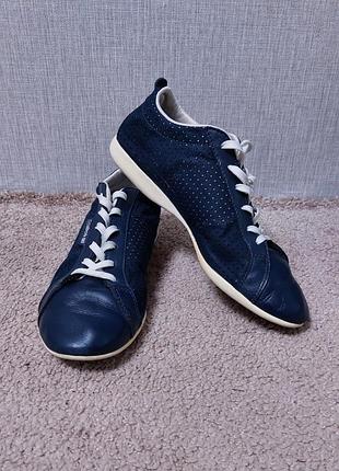 Шкіряні літні, дихаючі снікерси, кросівки reebok. розмір 37, устілка 24 див.