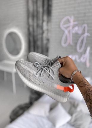 Чоловічі кросівки adidas yeezy boost 350 v2 tail light знижка sale1 фото