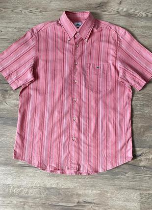 Розовая рубашка в полоску lacoste1 фото