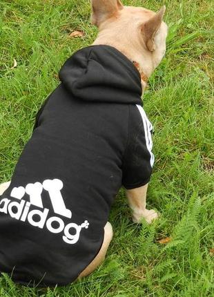 Adidog кофта для собаки2 фото