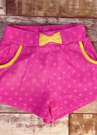 Шорты peppa pig nutmeg