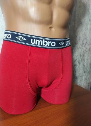 Трусы боксеры umbro2 фото