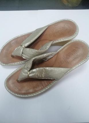 Шльопанці жіночі