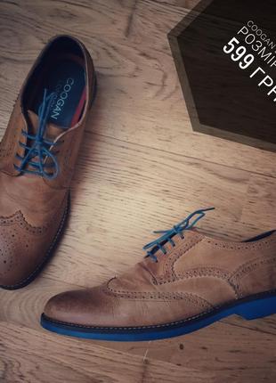 Туфлі брогі coogan london 44