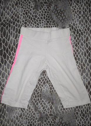 Велосипедки