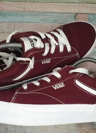 Ккеды vans old skool