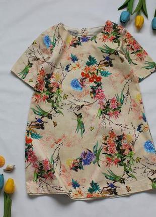 Плаття, сукня next 5-6 років