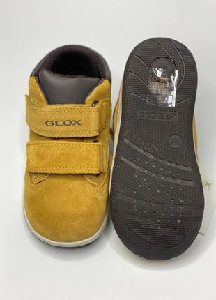Дитячі шкіряні черевики geox 26 р демісезонні ботінки хлопчику дівчинці4 фото