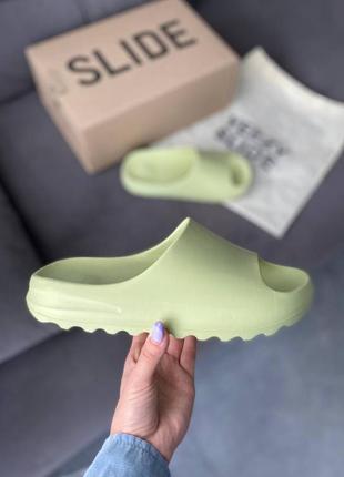 Тапки adidas yeezy slide olive4 фото