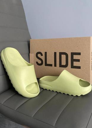 Тапки adidas yeezy slide olive1 фото