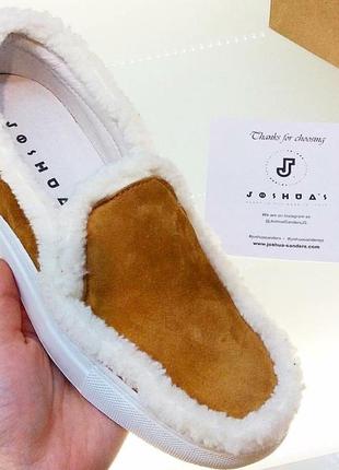 Лофери joshuas