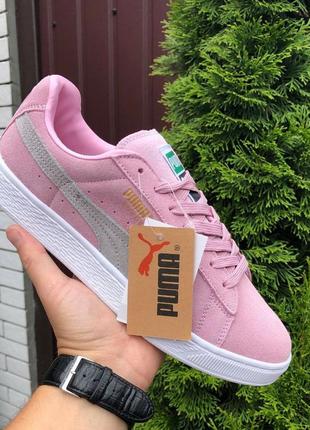 Женские кроссовки puma suede classic замшевые розовые