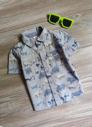 Рубашка с носорогами котон идеал miniclub 3-4г