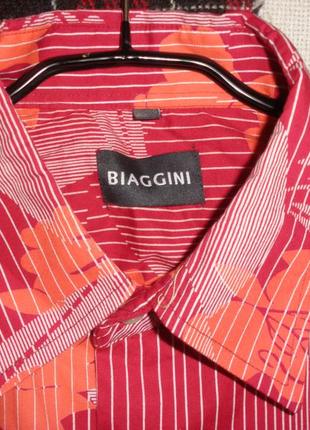 Летняя  мужская рубашка шведка сорочка biaggini короткий рукав3 фото