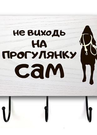 Вхідна табличка з гачками "не виходь на прогулянку" в 3 кольорах1 фото