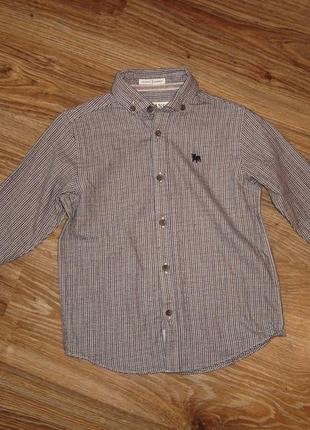 Комплект -рубашка (тонкая байковая) и жилетка на 6 лет4 фото