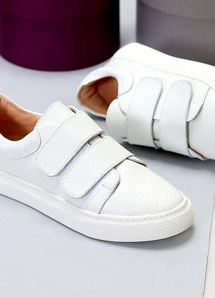 Кеди 7