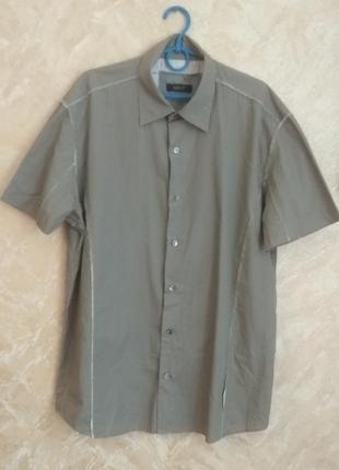 Сорочка next,р. xl