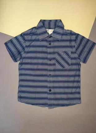 Красивая рубашка мальчику bhs, 18-24 мес