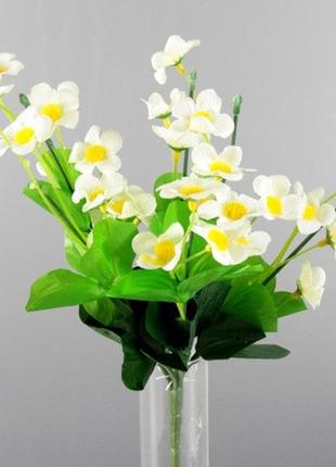 Цветы агростемма букет белый / цветы агростемма букет белый 30x15x15 см