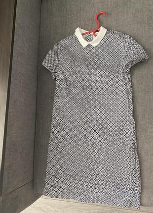 Жіноча сукня medecine