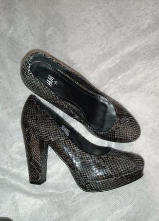 Туфлі жіночі зміїний принт/ туфлі/ пітон/ жіночі туфлі1 фото