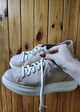 Шкіряні кросівки кольору пудра