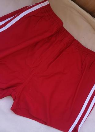 Красные короткие шорты плавки с лампасами коттон s/l2 фото