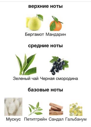 Тестер люкс 60 мл 2