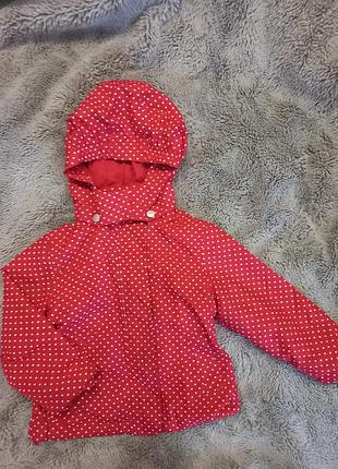 Ветровочка