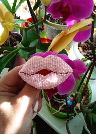 Брош вуста губи