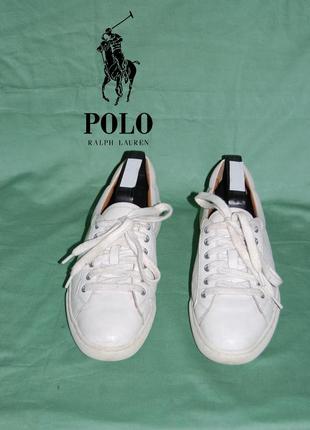 Polo кеди