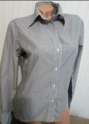 Рубашка хлопковая блузка женская marco pecci+подарок 🎉3 фото