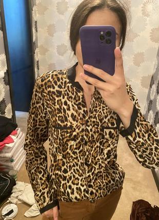 Сорочка , блуза, блузка,леопардовий принт, лео3 фото