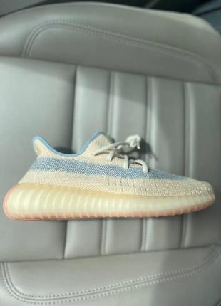 Женские кроссовки adidas yeezy boost 350  огромный выбор обуви3 фото