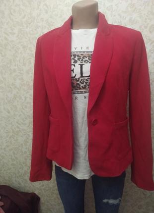 Пиджак красный пиджак