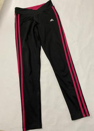 Легінси Лосини adidas