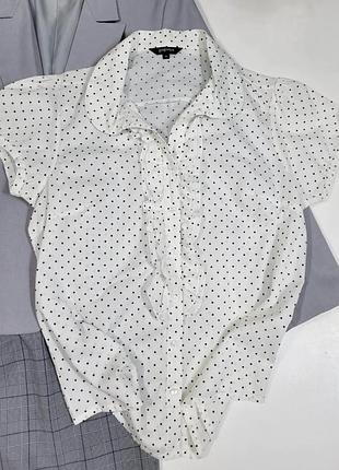 ❤рубашка блуза в горох 2