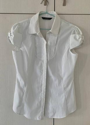 Нежная хлопковая белая блуза рубашка dunnes