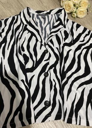 Коротка блуза, футболка принт зебра, primark, р. 183 фото