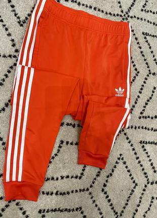 Спортивные штаны adidas2 фото